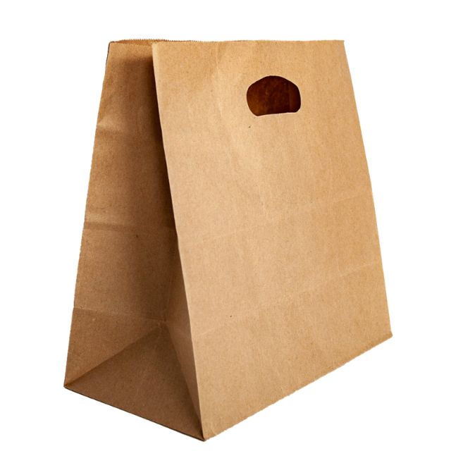 Bolsa Kraft 22x28x15cm. Asa troquel Plast. (1x300)