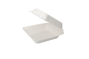 Cuadrado 22,3x20,1x4,6 cms. Bagasse (4X50)