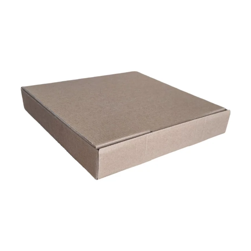Caja chica p/ Pizza 25x25x4cm (1x100)