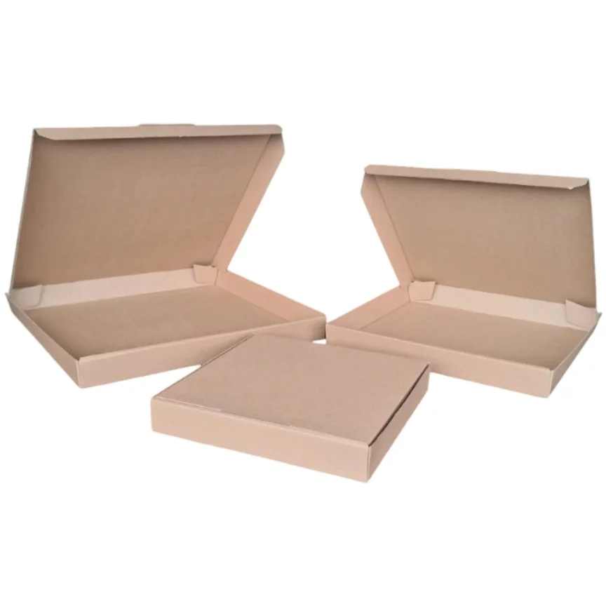 Caja chica p/ Pizza 25x25x4cm (1x100) - Imagen 2
