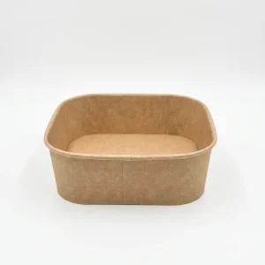 Contenedor 1000ml Cuadrado 170*146*55 (6x50u)