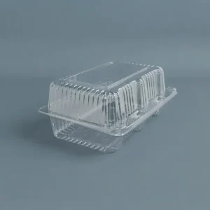Envase c/tapa Bisagra transp.20,5x15x8,2cm (4x100)
