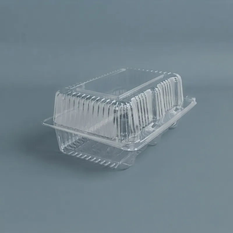 Envase c/tapa Bisagra transp.20,5x15x8,2cm (4x100)
