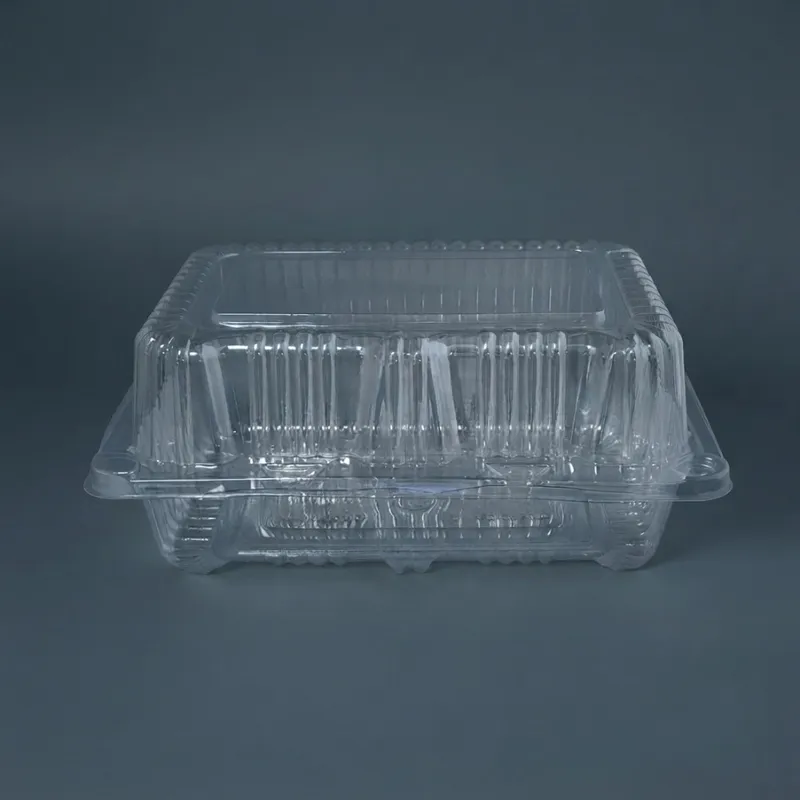 Envase c/tapa Bisagra transp.20,5x15x8,2cm (4x100) - Imagen 2