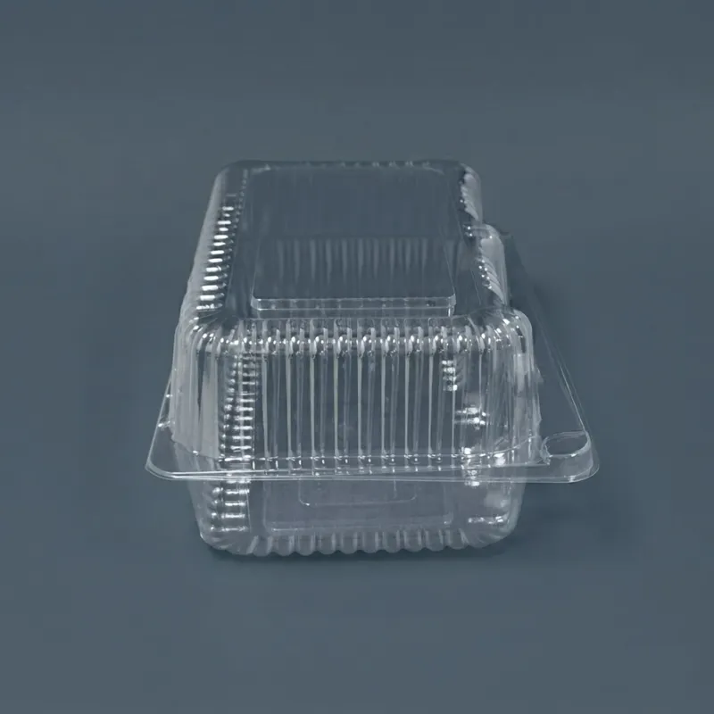 Envase c/tapa Bisagra transp.20,5x15x8,2cm (4x100) - Imagen 3