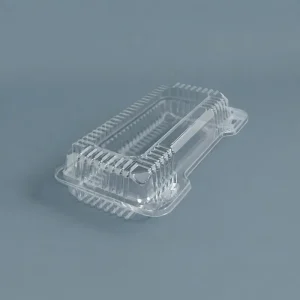 Envase c/tapa Bisagra transp.23x13x5,7cm (4x100)