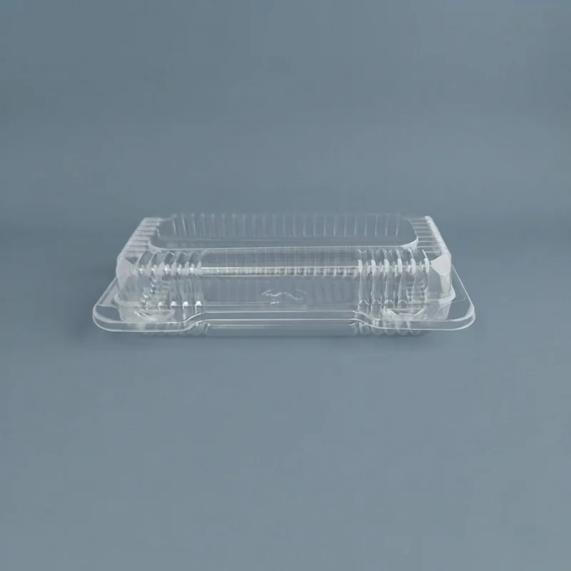Envase c/tapa Bisagra transp.23x13x5,7cm (4x100) - Imagen 2