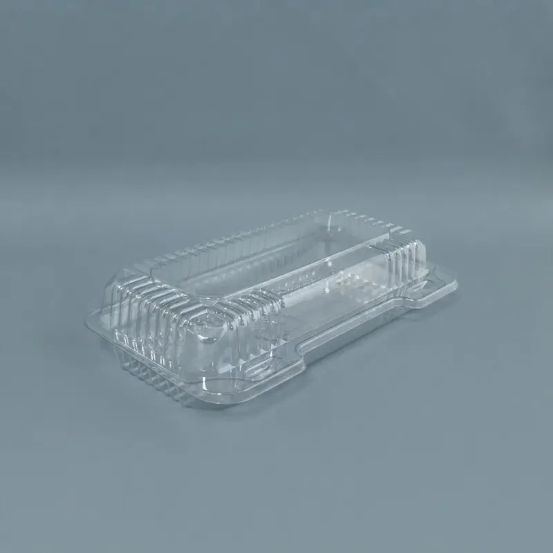 Envase c/tapa Bisagra transp.23x13x5,7cm (4x100) - Imagen 3