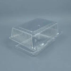 Envase c/tapa Bisagra transp.25x18x12cm (2x125)