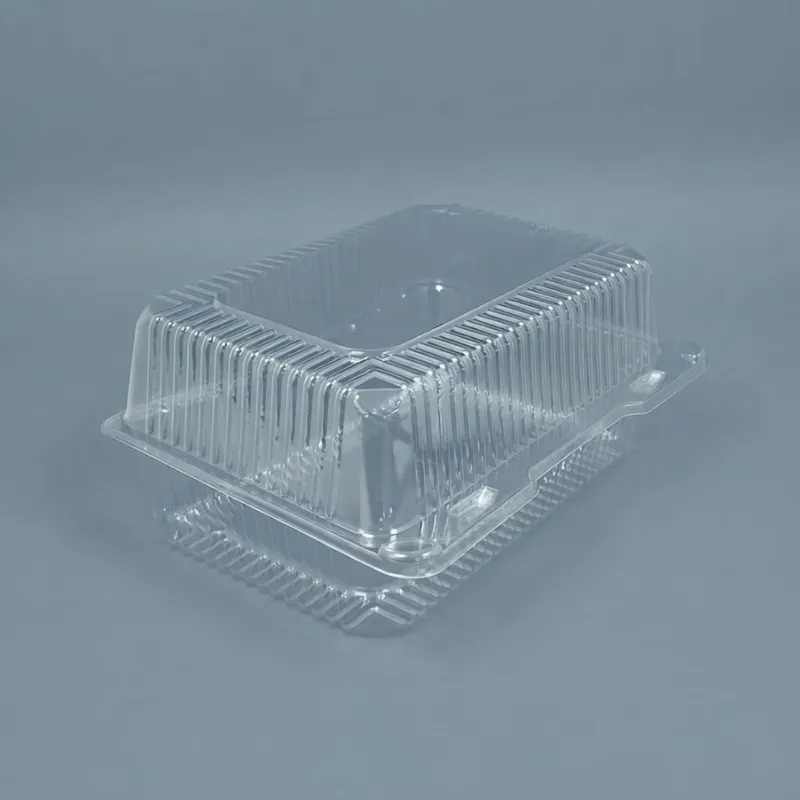Envase c/tapa Bisagra transp.25x18x12cm (2x125)