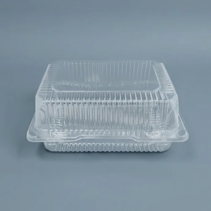 Envase c/tapa Bisagra transp.25x18x12cm (2x125) - Imagen 2