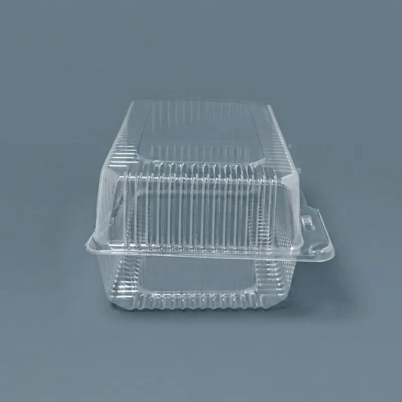 Envase c/tapa Bisagra transp.25x18x12cm (2x125) - Imagen 3