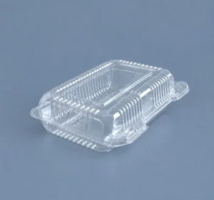 Envase c/tapa Bisagra transp.24,3x16,8x5,7cm (4x100)